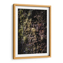 Tallo - Caed Vidrio | Cuadro decorativo de Canvas Lab