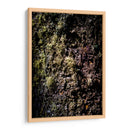 Tallo - Caed Vidrio | Cuadro decorativo de Canvas Lab