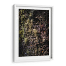 Tallo - Caed Vidrio | Cuadro decorativo de Canvas Lab