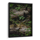 Troncos - Caed Vidrio | Cuadro decorativo de Canvas Lab