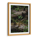 Troncos - Caed Vidrio | Cuadro decorativo de Canvas Lab