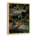 Troncos - Caed Vidrio | Cuadro decorativo de Canvas Lab