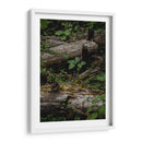 Troncos - Caed Vidrio | Cuadro decorativo de Canvas Lab