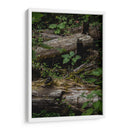 Troncos - Caed Vidrio | Cuadro decorativo de Canvas Lab