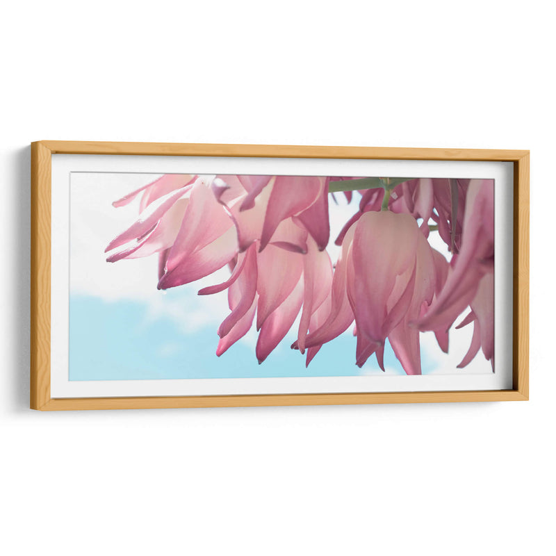 Flor de yuca - Gitano! | Cuadro decorativo de Canvas Lab