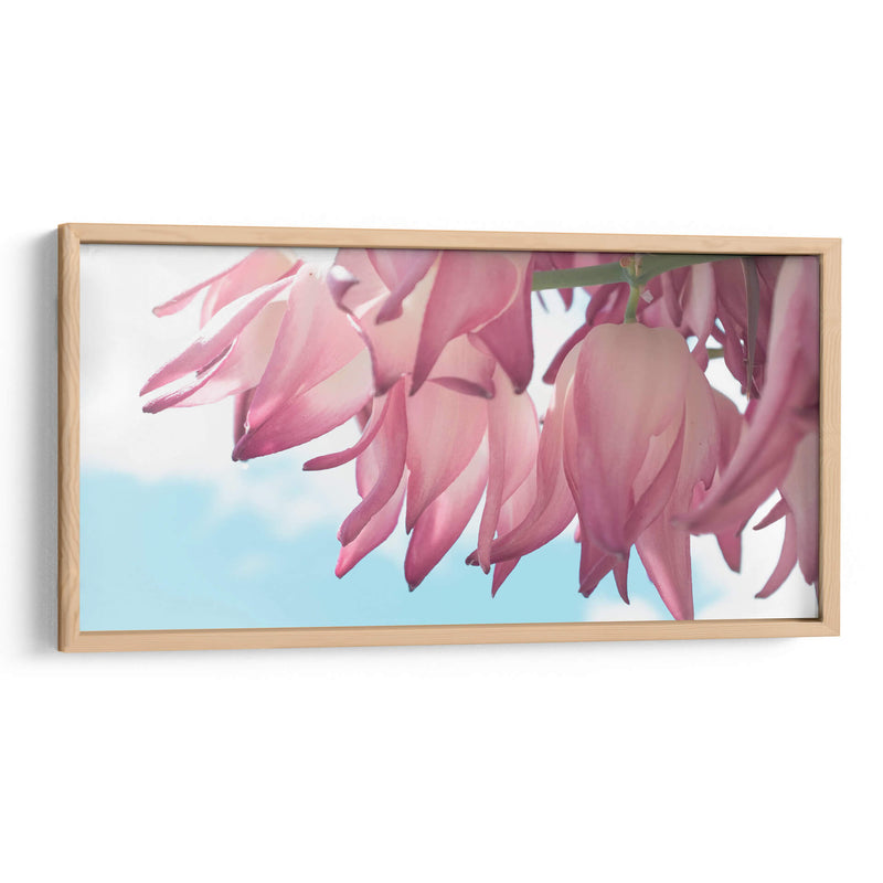 Flor de yuca - Gitano! | Cuadro decorativo de Canvas Lab