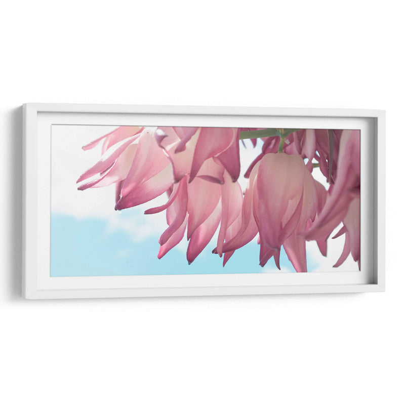 Flor de yuca - Gitano! | Cuadro decorativo de Canvas Lab