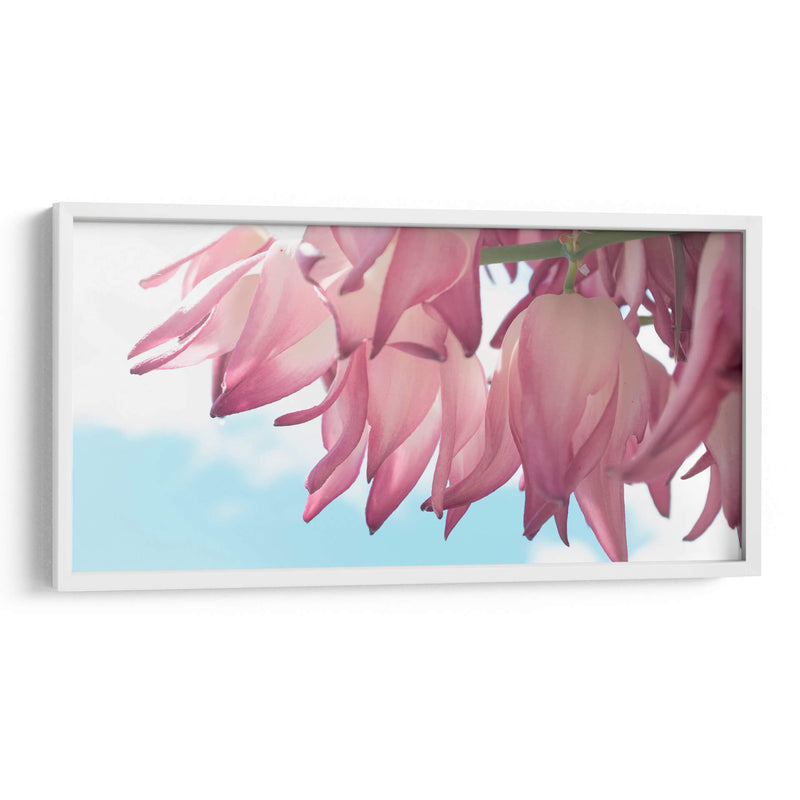 Flor de yuca - Gitano! | Cuadro decorativo de Canvas Lab