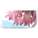 Flor de yuca - Gitano! | Cuadro decorativo de Canvas Lab