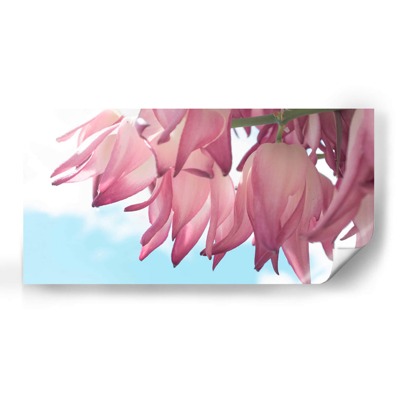 Flor de yuca - Gitano! | Cuadro decorativo de Canvas Lab