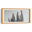 Cactus Elegante - Gitano! | Cuadro decorativo de Canvas Lab