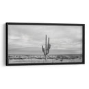 Cactus Solitario - Gitano! | Cuadro decorativo de Canvas Lab