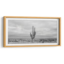 Cactus Solitario - Gitano! | Cuadro decorativo de Canvas Lab