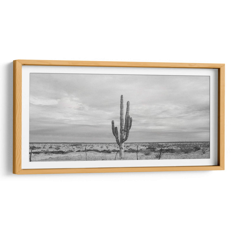 Cactus Solitario - Gitano! | Cuadro decorativo de Canvas Lab