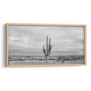 Cactus Solitario - Gitano! | Cuadro decorativo de Canvas Lab