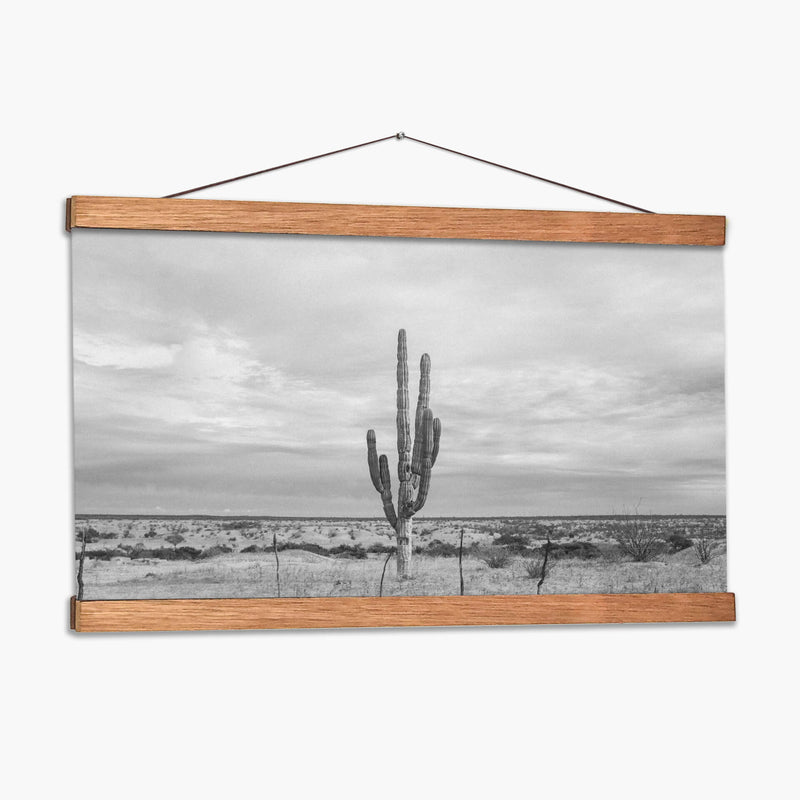 Cactus Solitario - Gitano! | Cuadro decorativo de Canvas Lab