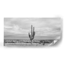 Cactus Solitario - Gitano! | Cuadro decorativo de Canvas Lab