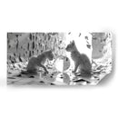 Gatos y Papel - Cecilia Flores | Cuadro decorativo de Canvas Lab