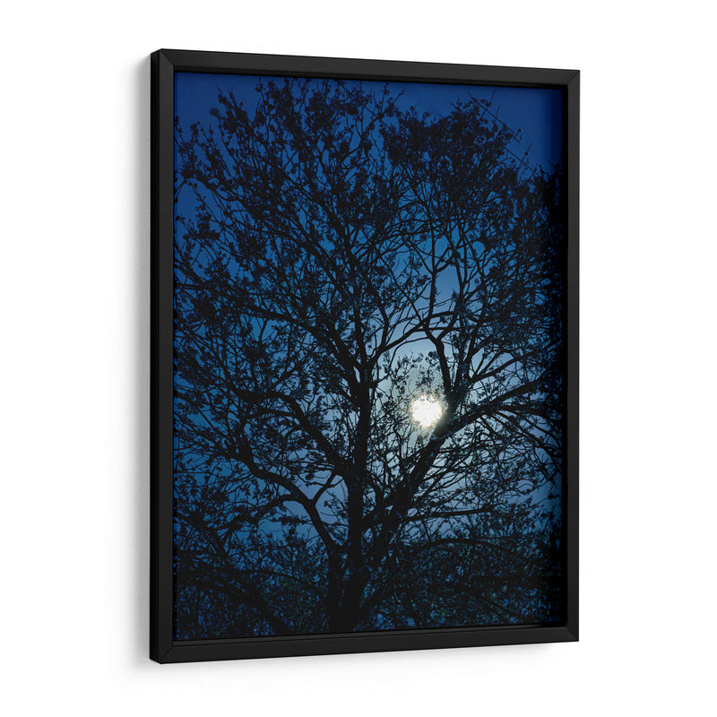 Luz de luna llena a la zaga de un árbol - Claudia Luna | Cuadro decorativo de Canvas Lab