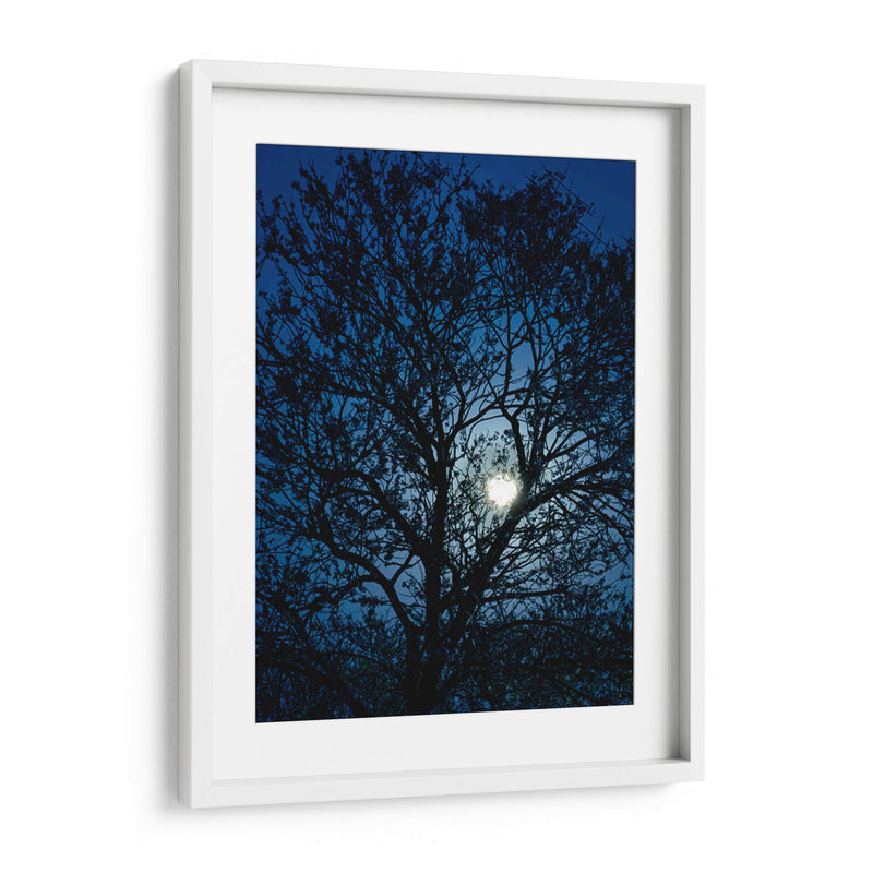 Luz de luna llena a la zaga de un árbol - Claudia Luna | Cuadro decorativo de Canvas Lab