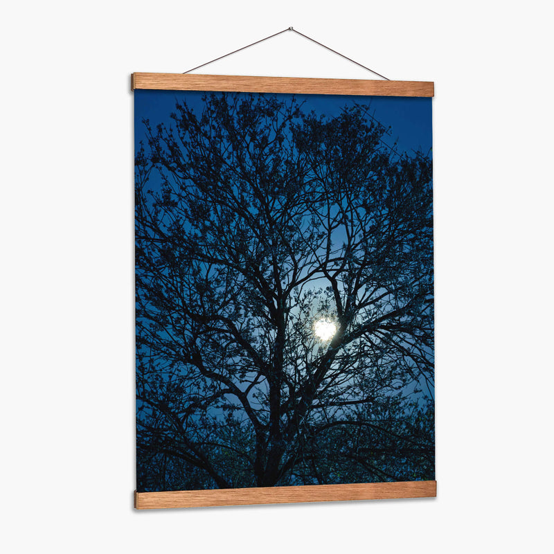 Luz de luna llena a la zaga de un árbol - Claudia Luna | Cuadro decorativo de Canvas Lab