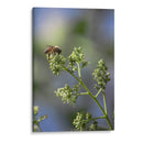 Viene el sol. - Luis Arriaga | Cuadro decorativo de Canvas Lab