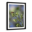 Viene el sol. - Luis Arriaga | Cuadro decorativo de Canvas Lab