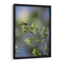 Viene el sol. - Luis Arriaga | Cuadro decorativo de Canvas Lab