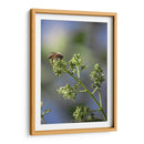 Viene el sol. - Luis Arriaga | Cuadro decorativo de Canvas Lab