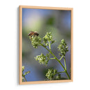 Viene el sol. - Luis Arriaga | Cuadro decorativo de Canvas Lab