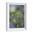 Viene el sol. - Luis Arriaga | Cuadro decorativo de Canvas Lab