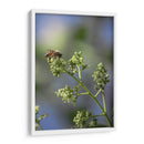 Viene el sol. - Luis Arriaga | Cuadro decorativo de Canvas Lab