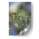 Viene el sol. - Luis Arriaga | Cuadro decorativo de Canvas Lab