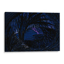 El Lago en el Bosque (Noche) - 2HumanKind | Cuadro decorativo de Canvas Lab