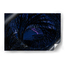 El Lago en el Bosque (Noche) - 2HumanKind | Cuadro decorativo de Canvas Lab