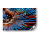 Penacho - Gustavo Cohen | Cuadro decorativo de Canvas Lab