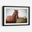 Caballo salvaje - Chepo Murua | Cuadro decorativo de Canvas Lab