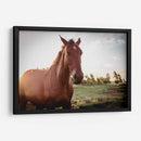 Caballo salvaje - Chepo Murua | Cuadro decorativo de Canvas Lab