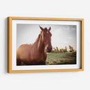 Caballo salvaje - Chepo Murua | Cuadro decorativo de Canvas Lab