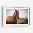 Caballo salvaje - Chepo Murua | Cuadro decorativo de Canvas Lab