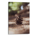 piña del bosque - Chepo Murua | Cuadro decorativo de Canvas Lab