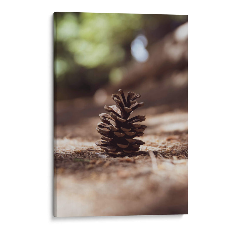 piña del bosque - Chepo Murua | Cuadro decorativo de Canvas Lab