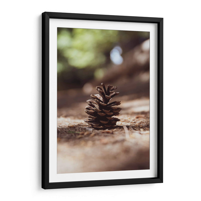 piña del bosque - Chepo Murua | Cuadro decorativo de Canvas Lab