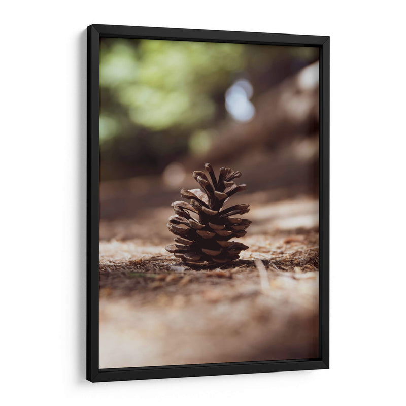 piña del bosque - Chepo Murua | Cuadro decorativo de Canvas Lab