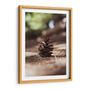 piña del bosque - Chepo Murua | Cuadro decorativo de Canvas Lab