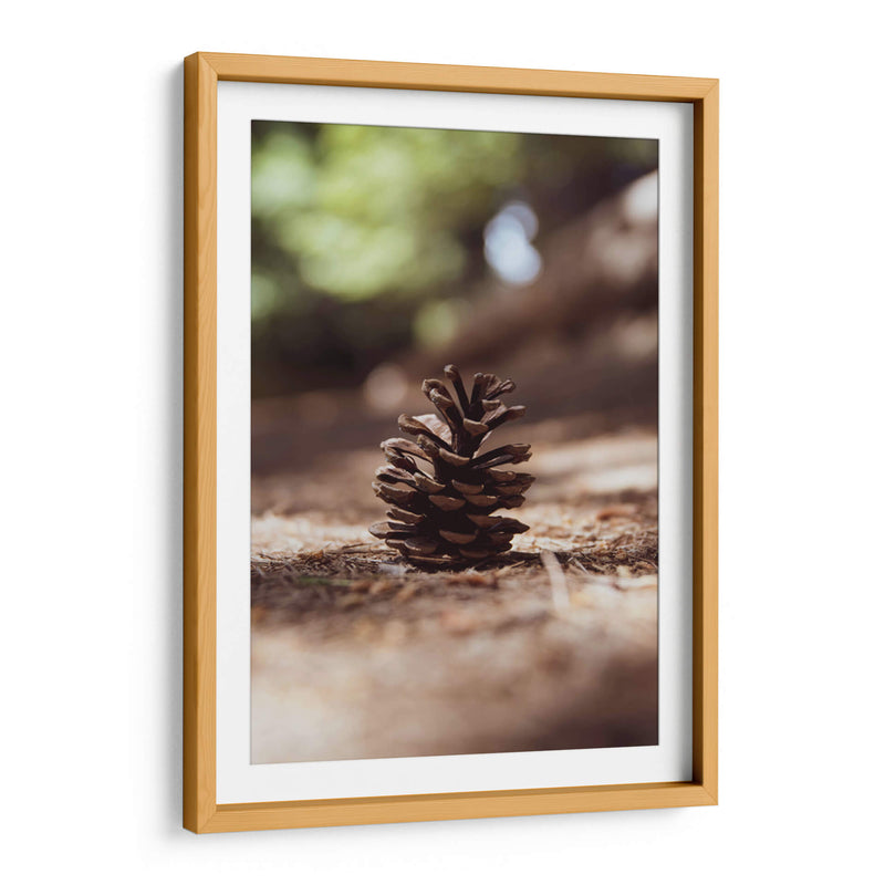 piña del bosque - Chepo Murua | Cuadro decorativo de Canvas Lab