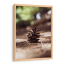 piña del bosque - Chepo Murua | Cuadro decorativo de Canvas Lab