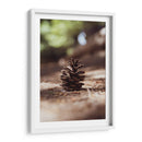 piña del bosque - Chepo Murua | Cuadro decorativo de Canvas Lab