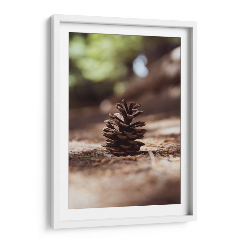 piña del bosque - Chepo Murua | Cuadro decorativo de Canvas Lab