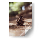 piña del bosque - Chepo Murua | Cuadro decorativo de Canvas Lab